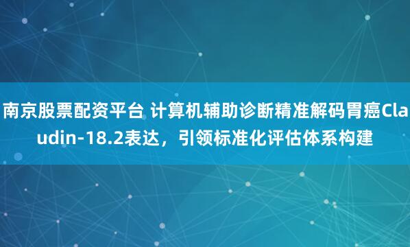 南京股票配资平台 计算机辅助诊断精准解码胃癌Claudin-18.2表达，引领标准化评估体系构建