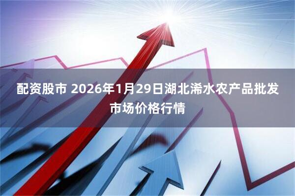 配资股市 2026年1月29日湖北浠水农产品批发市场价格行情