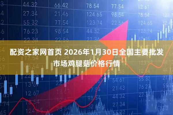 配资之家网首页 2026年1月30日全国主要批发市场鸡腿菇价格行情